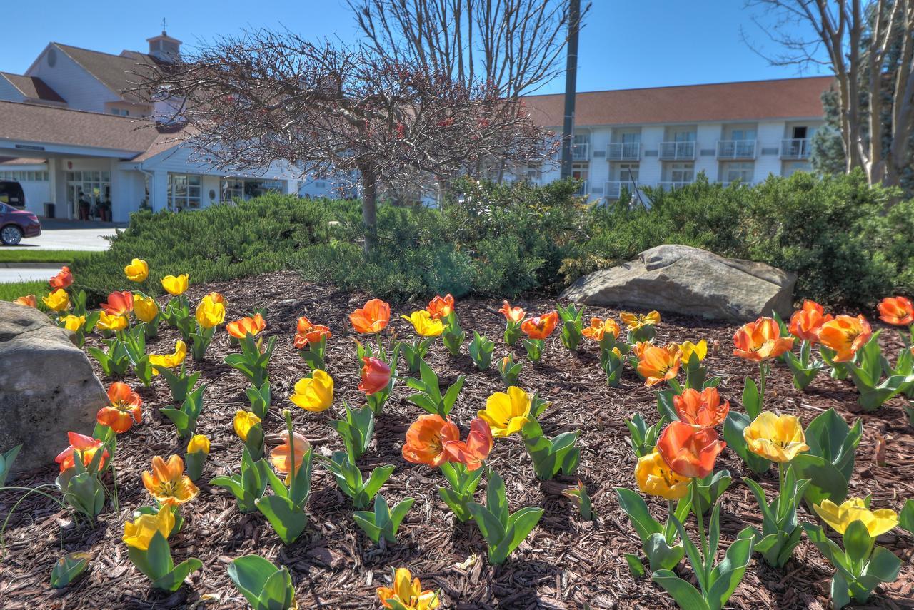 The Inn At Apple Valley, Ascend Hotel Collection Sevierville Exterior foto